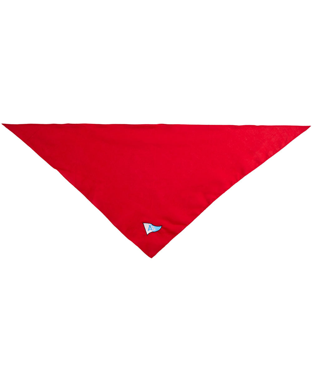 Foulard Fêtes de Bayonne